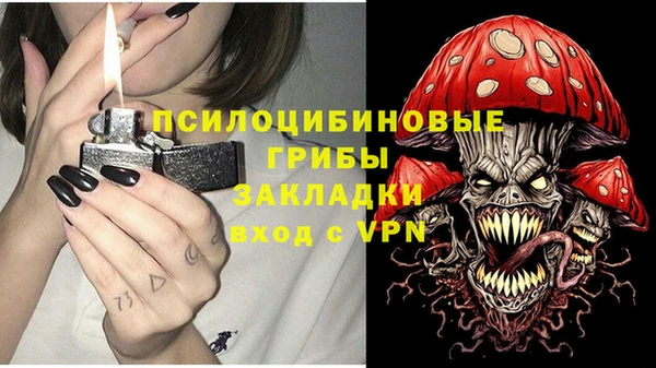 прущие крисы Алексин