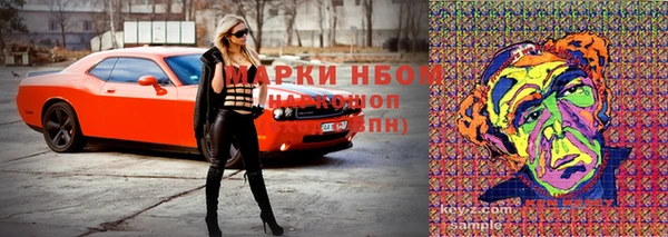шишки Алексеевка