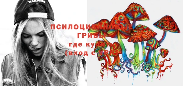 шишки Алексеевка