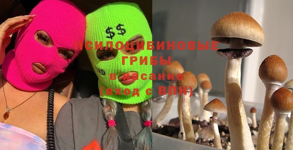 шишки Алексеевка
