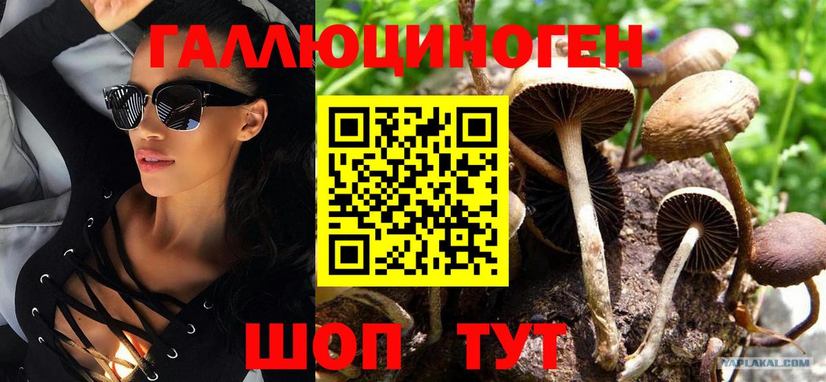 Нурлат  Псилоцибиновые грибы ЛСД  Вход с VPN  Галлюциногенные грибы Psilocybe 